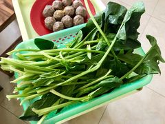 菠菜-15年老字号鑫鑫猪肚鸡·椰子鸡海南火锅(兴隆华侨农场店)