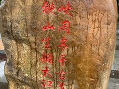 -铁山坪森林公园