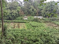 -樱桃山旅游景区