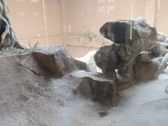 -宁波野生动物园
