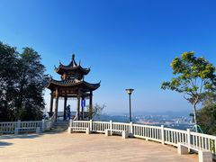 -黄埔油麻山森林公园