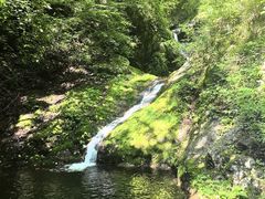 -牛背梁国家森林公园