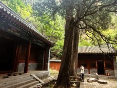 -仙居谷风景区