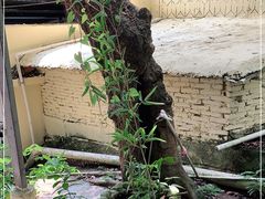 -洞背山庄(洞背院区式管理小区店)