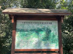 -中国科学院西双版纳热带植物园