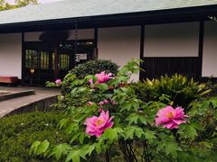 -名古屋城