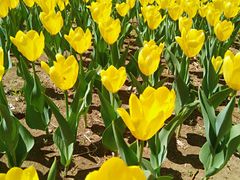 -长春公园(普阳街道)