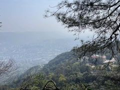 -缙云山景区