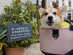 -比斯特上海购物村精品奥特莱斯