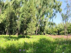 -森林公园(尖草坪区)