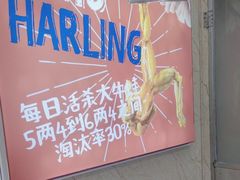 -哈灵面馆(宁波路店)