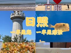 -渡海小渔村.老辈日照菜