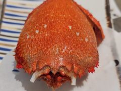 -阳光岛·海鲜盛宴(银泰中心in99店)