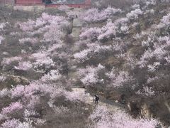 -鸡鸣山旅游风景区