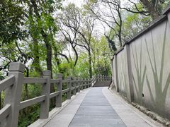 -上海佘山国家森林公园西佘山园