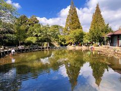 -白马涧龙池景区