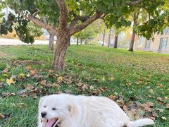 -意大利农场度假村