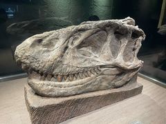 -自贡恐龙博物馆