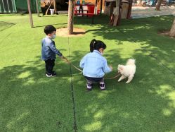 -萌宠亲子动物乐园(槐房万达店)