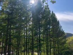 -香炉山国家森林公园