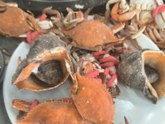 -仙螺岛海鲜自助餐厅(总店)