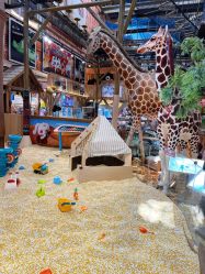 -卡通尼·Safari非洲探索乐园·生日会(金桥国际商业广场店)