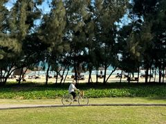 -海南清水湾莱佛士酒店