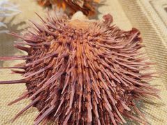 -摩登百货(岗顶店)