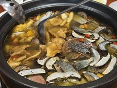 -菌之家·专业纯野生菌火锅·特色炒菌
