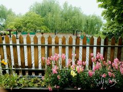 -柳湖小筑青年旅舍