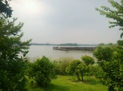 东湖一角-云湖游乐园