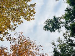 -春晖园度假酒店温泉