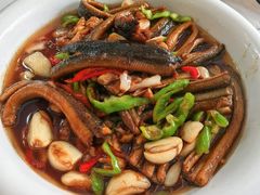 -杨辉饭店