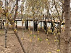 -东郊湿地公园