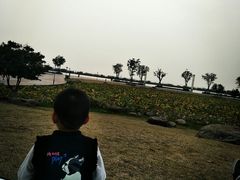 -滆湖低碳生态公园