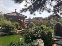 -中国唐苑