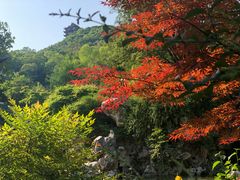 -采石矶景区