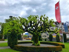 -因特拉肯贝乌里瓦奇大酒店