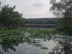 -承德避暑山庄景区