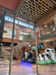 -卡通尼·Safari非洲探索乐园·生日会(金桥国际商业广场店)