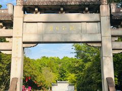 -宜兴龙背山森林公园