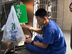 -宠福鑫动物医院·动物疾病诊疗中心(天通苑店)