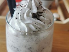 奥利奥星辰-猫小主咖啡·猫咖cat cafe(福田店)