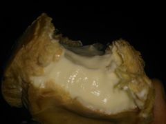 -麦斯晨菲老香港蛋糕(东街店)