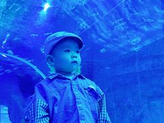 -波塞冬旅游度假区