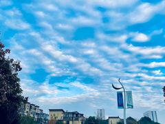 -西山漾湿地公园