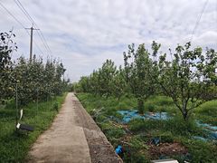 -嘉北郊野公园