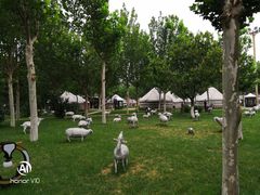 -九十九顶毡房(阜石路店)