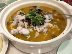 -蜀腾川·火锅鱼.烤鱼(新世界城店)