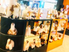 -上海市静安区图书馆(新闸路馆)